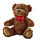 Adorable Plush Bear –  Mm Flowers Designs Llc, Lilburn GA
