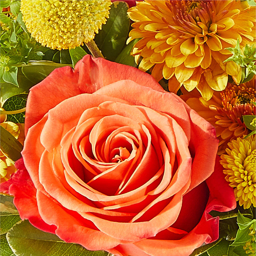 Gourdgeous Pumpkin –  Mm Flowers Designs Llc, Lilburn GA