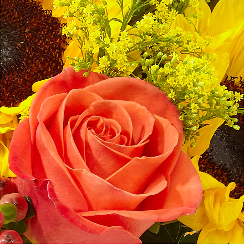 Pick of the Patch Pumpkin Bouquet –  Mm Flowers Designs Llc, Lilburn GA