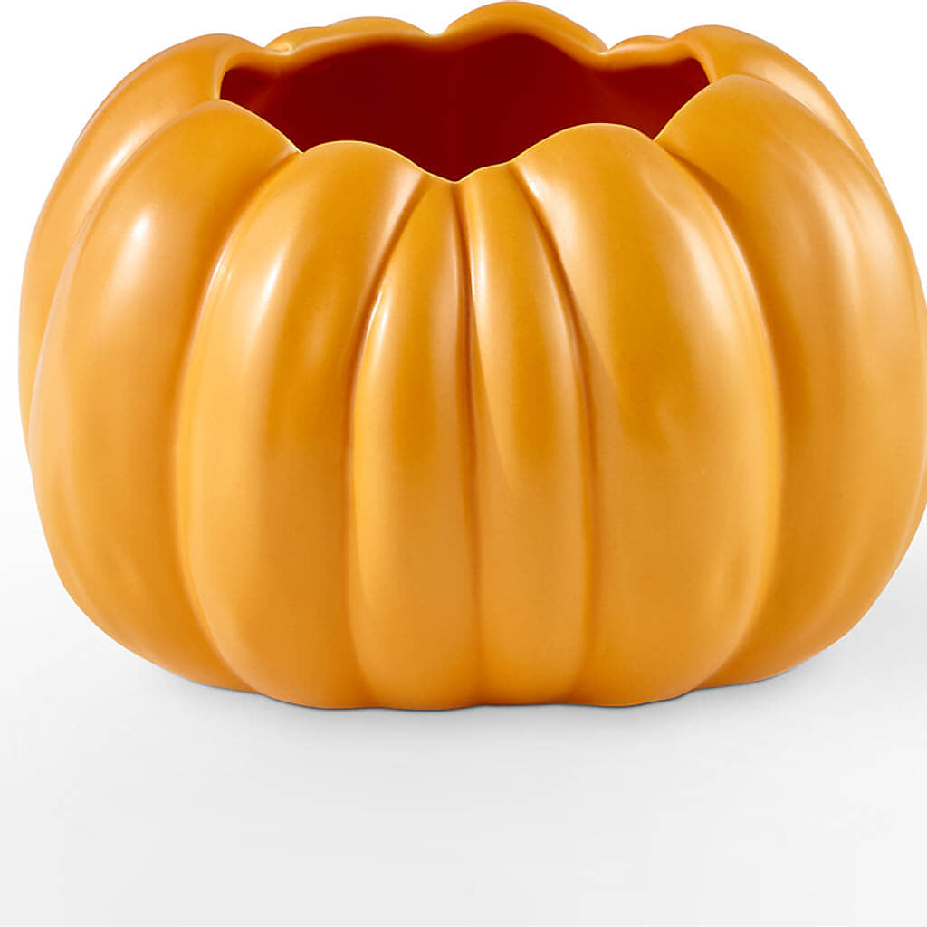 Pick of the Patch Pumpkin Bouquet –  Mm Flowers Designs Llc, Lilburn GA